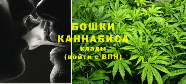 стаф Бронницы