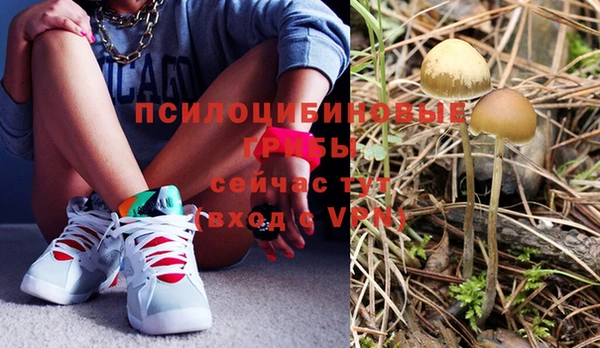 стаф Бронницы