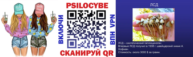 Псилоцибиновые грибы ЛСД  Котовск 